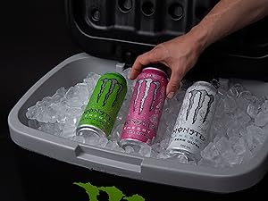 Sugar Free Energy Drink