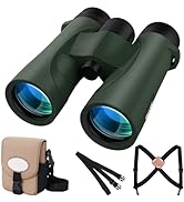 Compact Binoculars