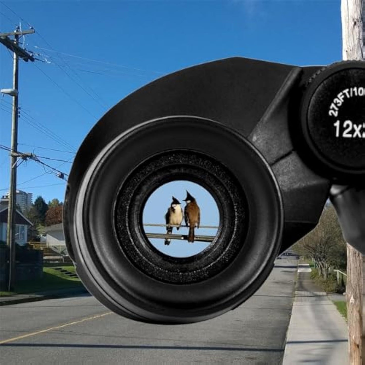 Compact Binoculars