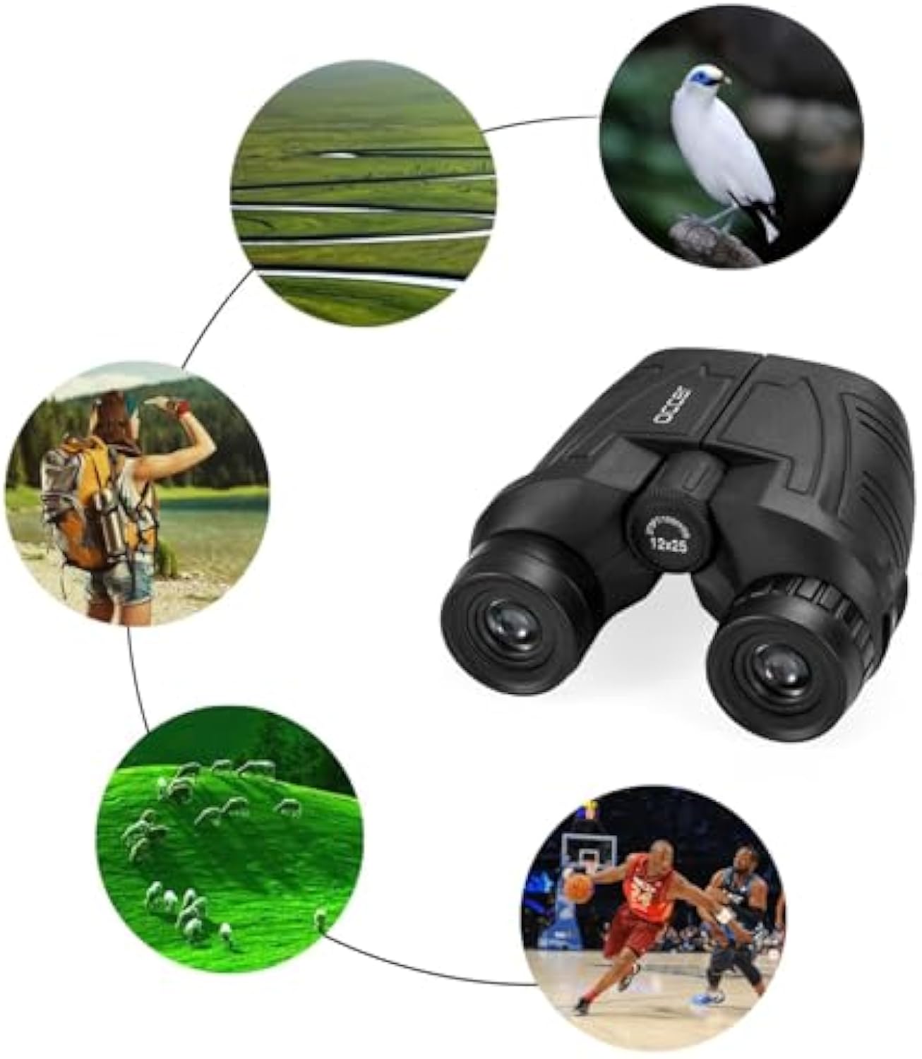 Compact Binoculars